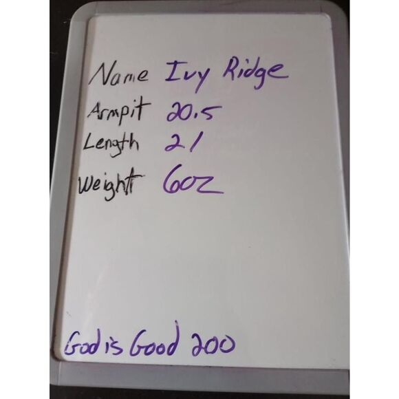 Ivy Ridge Shirt Ladies Medium‎ Blue Striped Button design - Picture 8 of 8